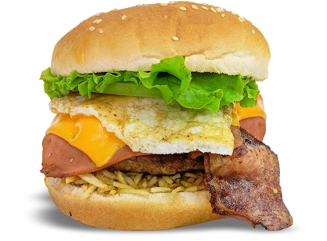 HAMBURGUESA ARTESANAL ESPECIAL En combo